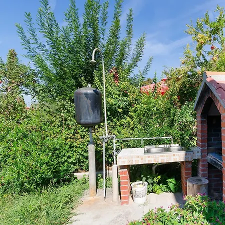 Biserka * Barbat na Rabu