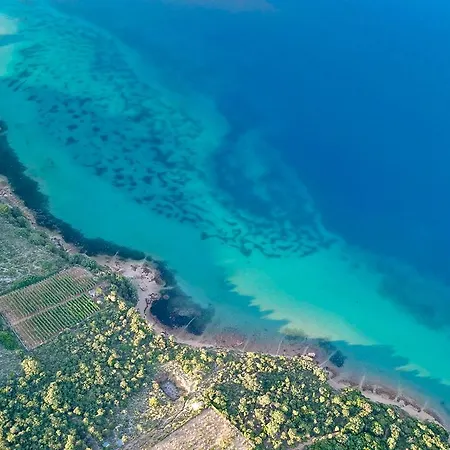 Biserka * Barbat na Rabu